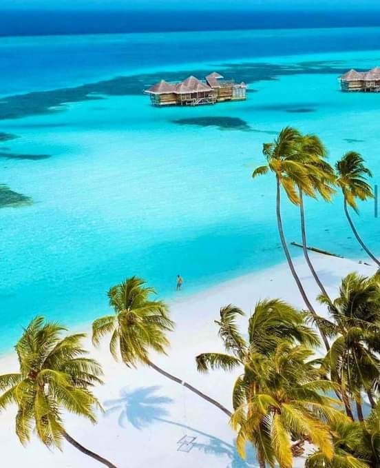 divi-Travel-Agency-img-11